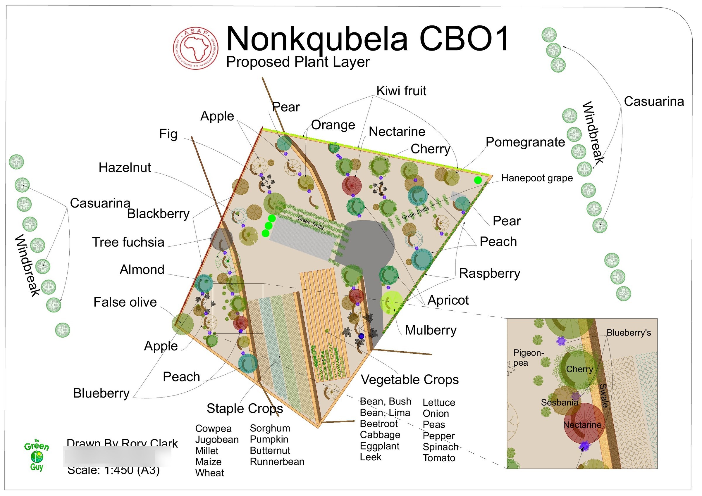 A3 proposed plant layer for Nonkqubela CBO1 on a white ground: tree canopies drawn as circles, vegetable beds as hatched blocks, each species named with a leader line