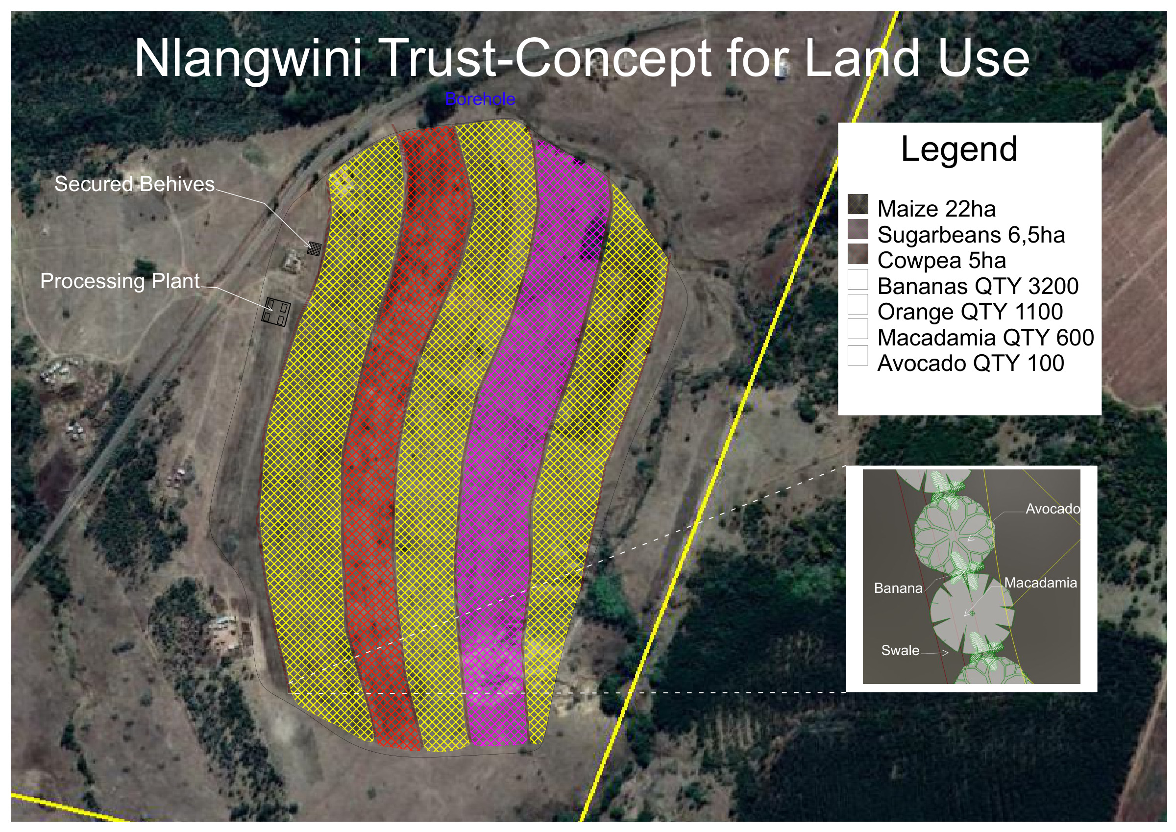 Land-use concept for the Hlengweni Trust farm: hatched blocks for maize, sugar beans and cowpea with a legend of areas and tree counts for bananas, orange, macadamia and avocado, secured beehives, a processing plant and a borehole marked over satellite imagery, with a detail of the orchard rows along a swale