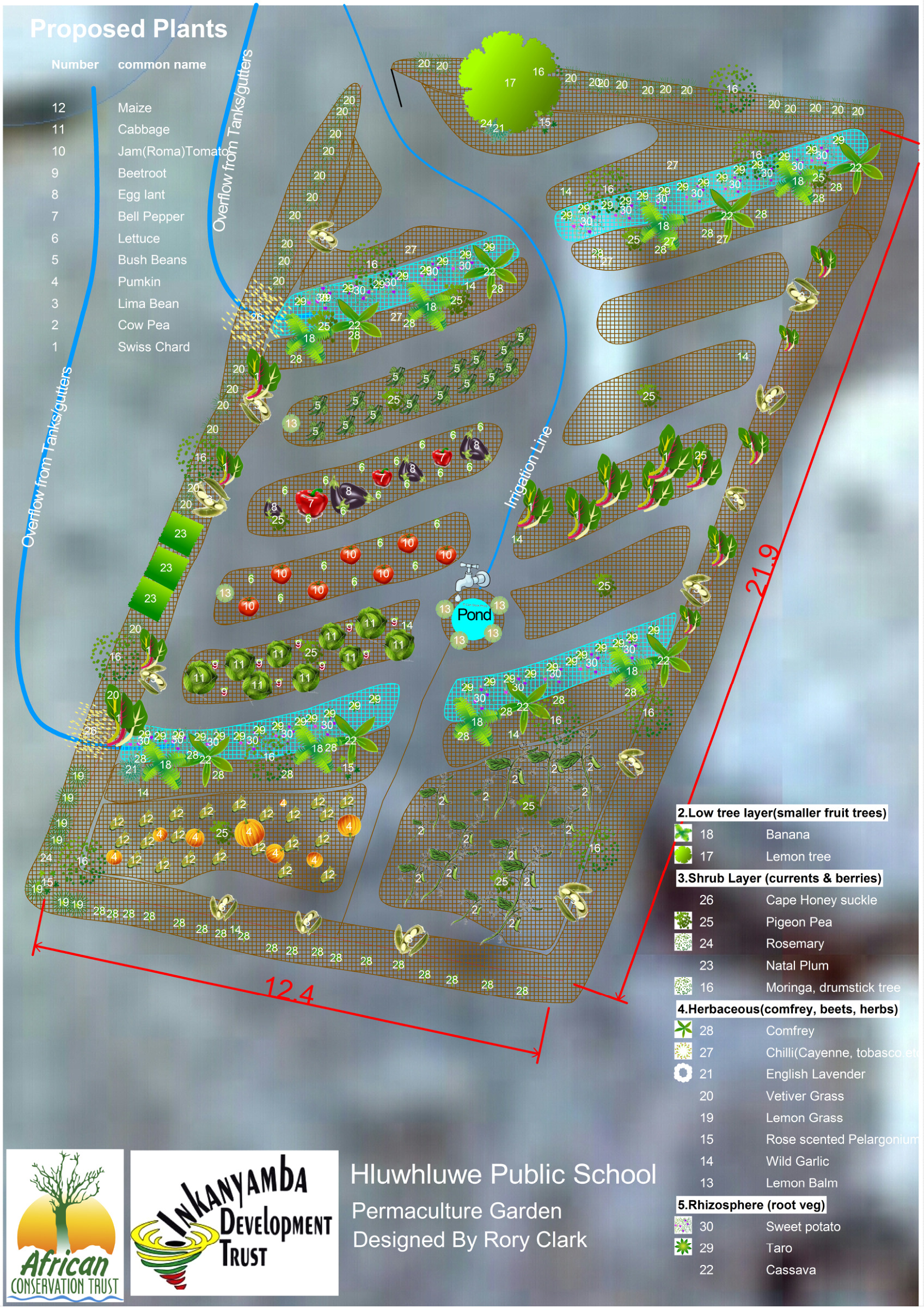 Portrait plant layer for the Hluhluwe Public School permaculture garden: numbered trees, shrubs and vegetables keyed to a proposed-plants list, wave-shaped beds, a pond and overflow lines, with the garden dimensions marked