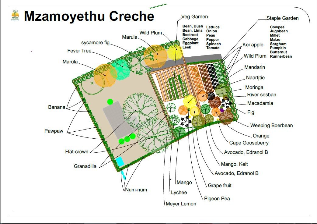 Mzamoyethu Crèche plant layer on a white ground: a vegetable garden and a staple garden as hatched blocks, fruit and shade trees as circles, every species named
