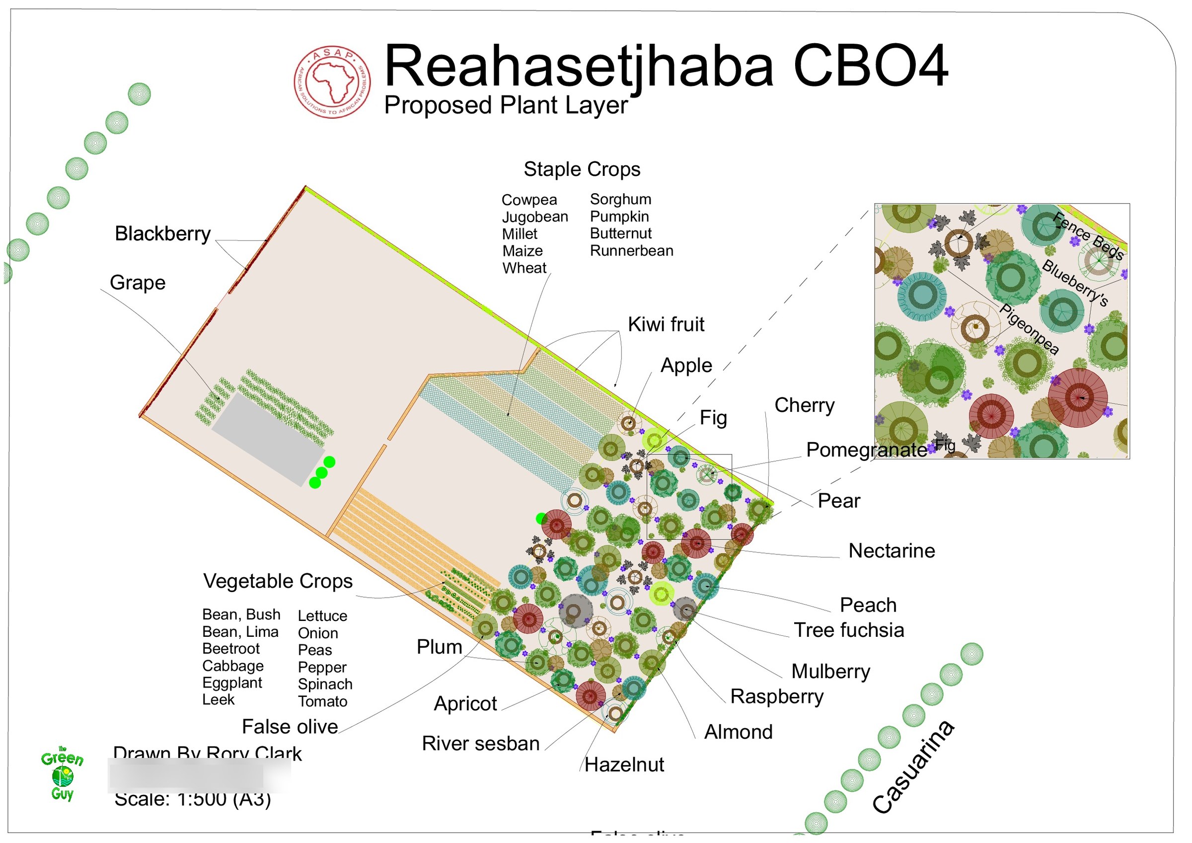 A3 proposed plant layer for Reahasetjhaba CBO4 on a white ground: tree circles, hatched beds and named species with leader lines