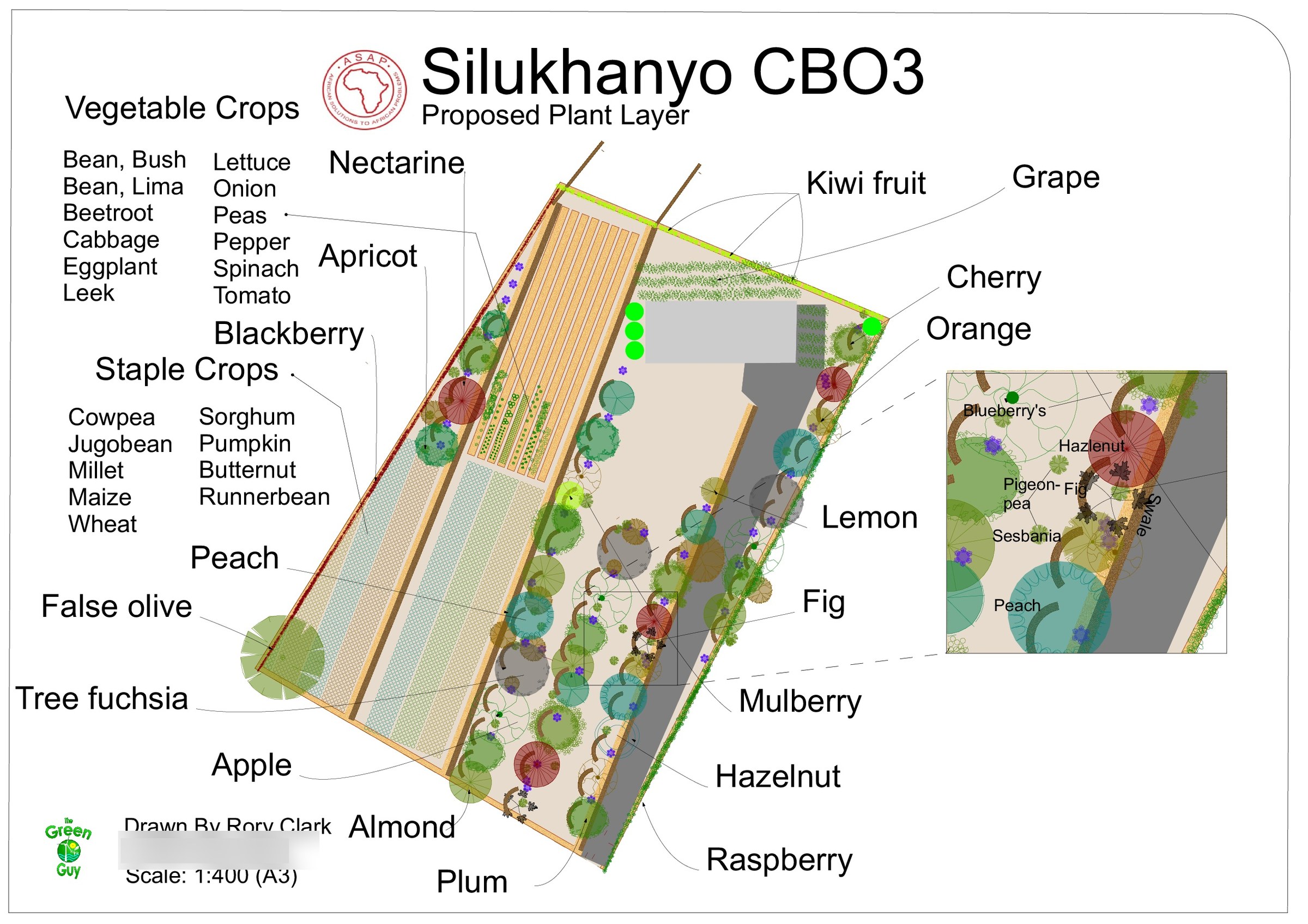 A3 proposed plant layer for Silukhanyo CBO3 on a white ground: tree circles, hatched vegetable beds and named species