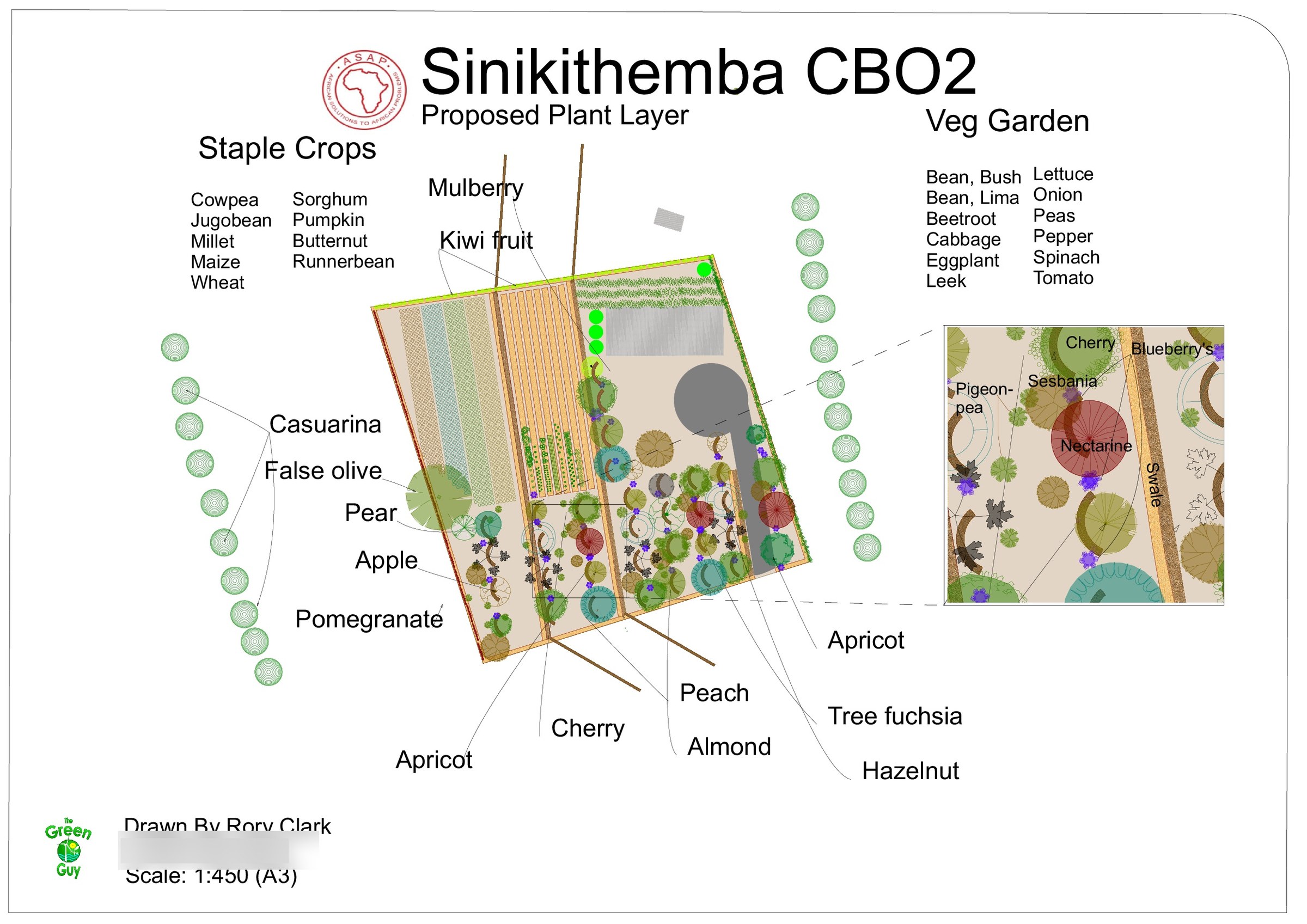 A3 proposed plant layer for Sinikithemba CBO2 on a white ground: tree circles, hatched beds and named species