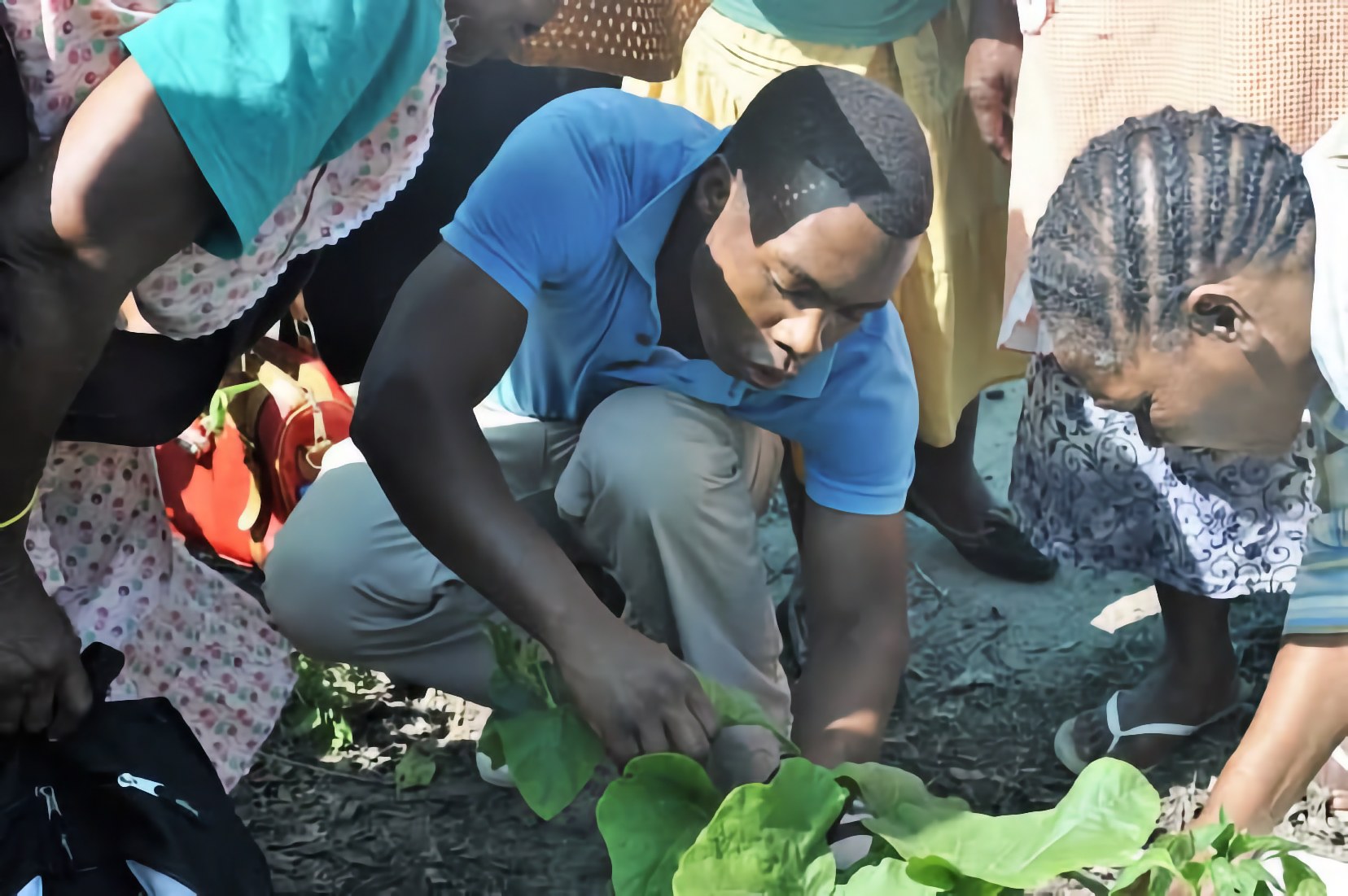 Participants taking part in practical seedling work during a Foundation for Human Rights seed-saving workshop