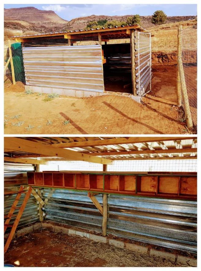 Exterior and interior of a new chicken coop, showing a fenced outdoor run and raised nesting boxes