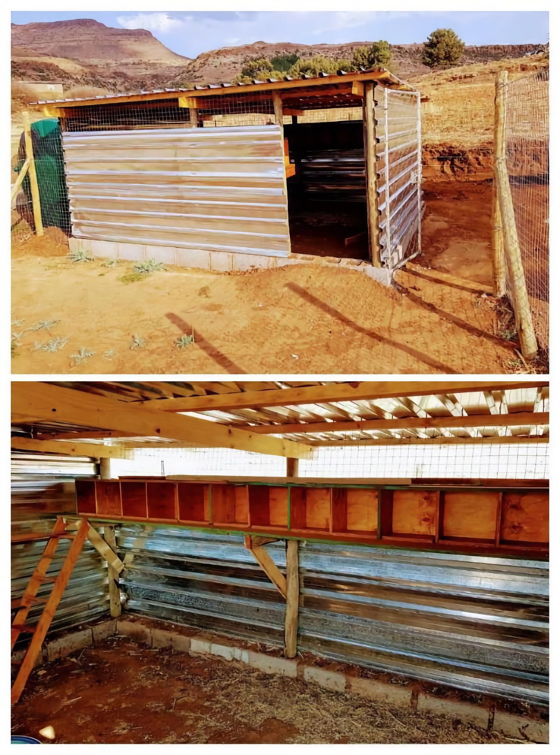 A new chicken coop and run constructed at a Lesotho demonstration garden