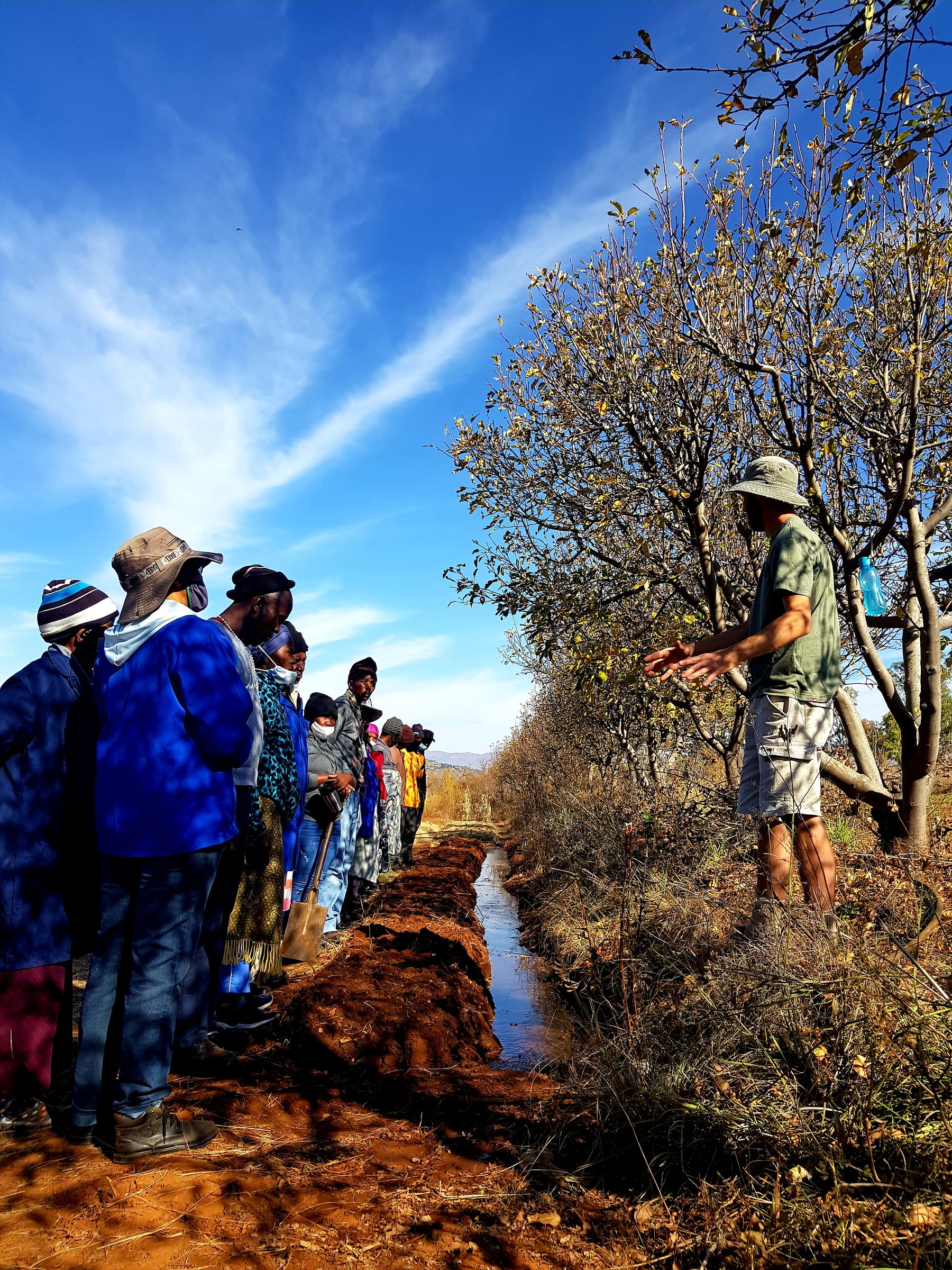 A group digging a swale during practical permaculture training