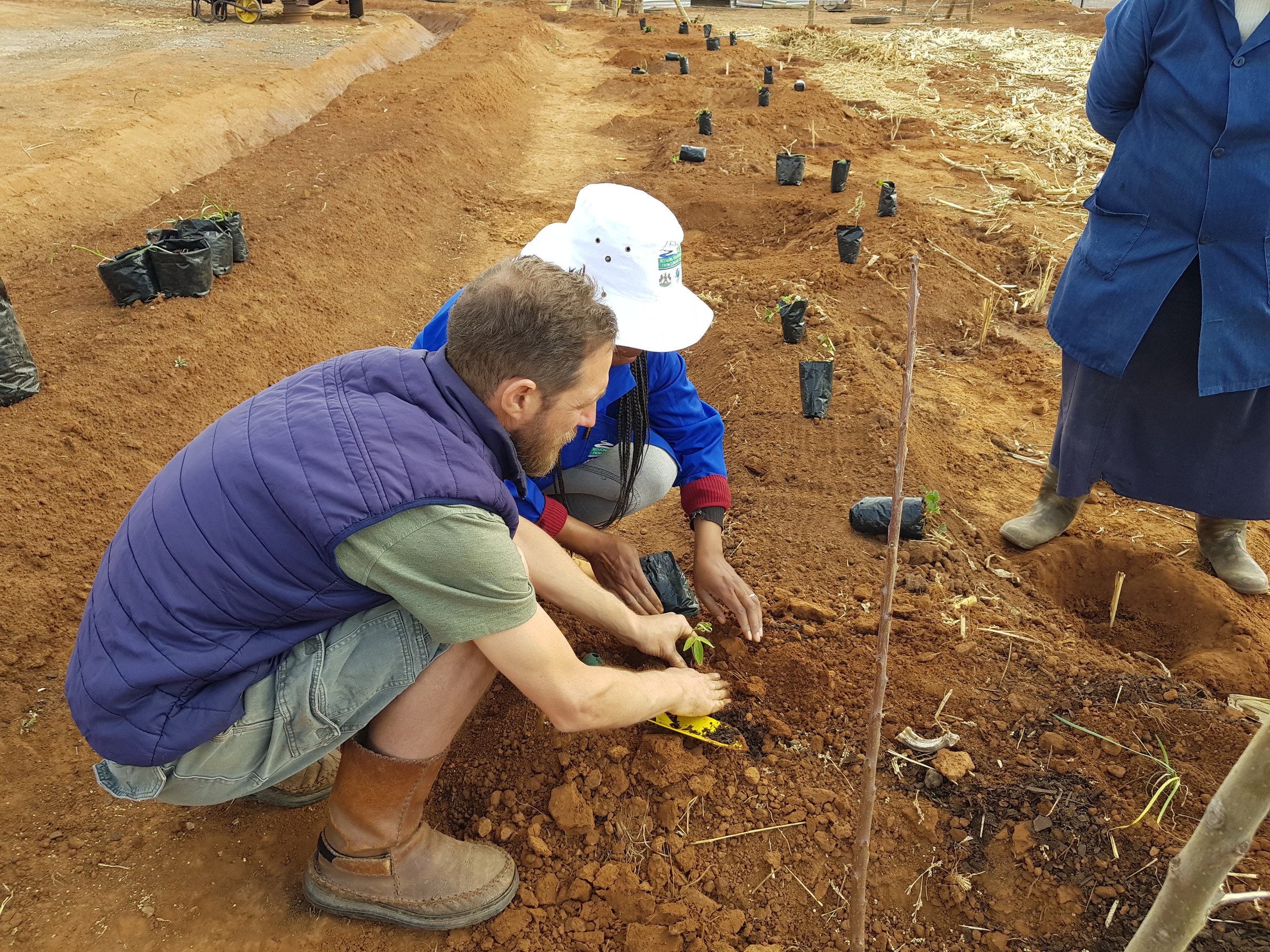 Rory Clark and a participant planting a young tree in a prepared basin