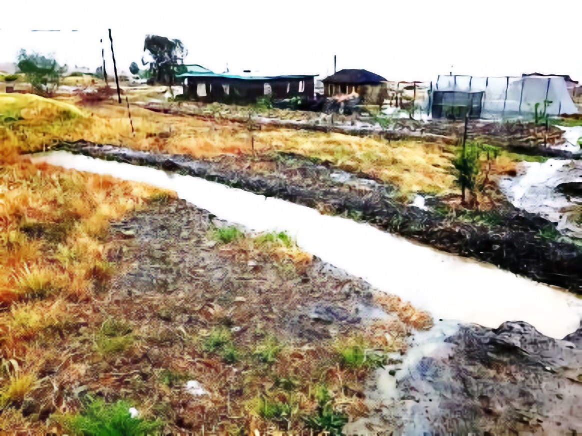 Wet growing area with pale rainwater moving through channels between planted ground and a greenhouse