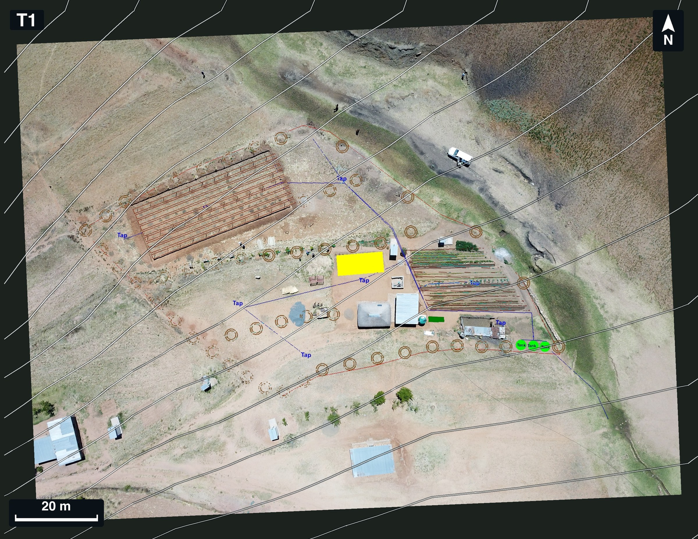 Drone orthophoto of garden T1 in Lesotho with the concept drawing and contour lines drawn over it: a hatched block of beds, rows of circles for tree basins, tap labels, a pipe run and small buildings, with a 20 m scale bar and a north arrow