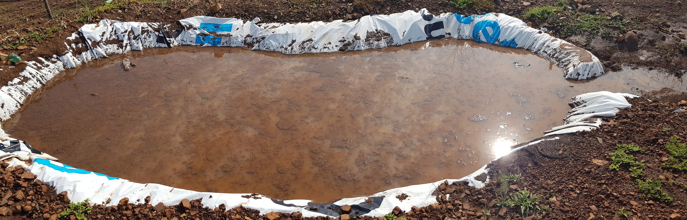 A garden pond holding stormwater after a recorded 43 mm storm