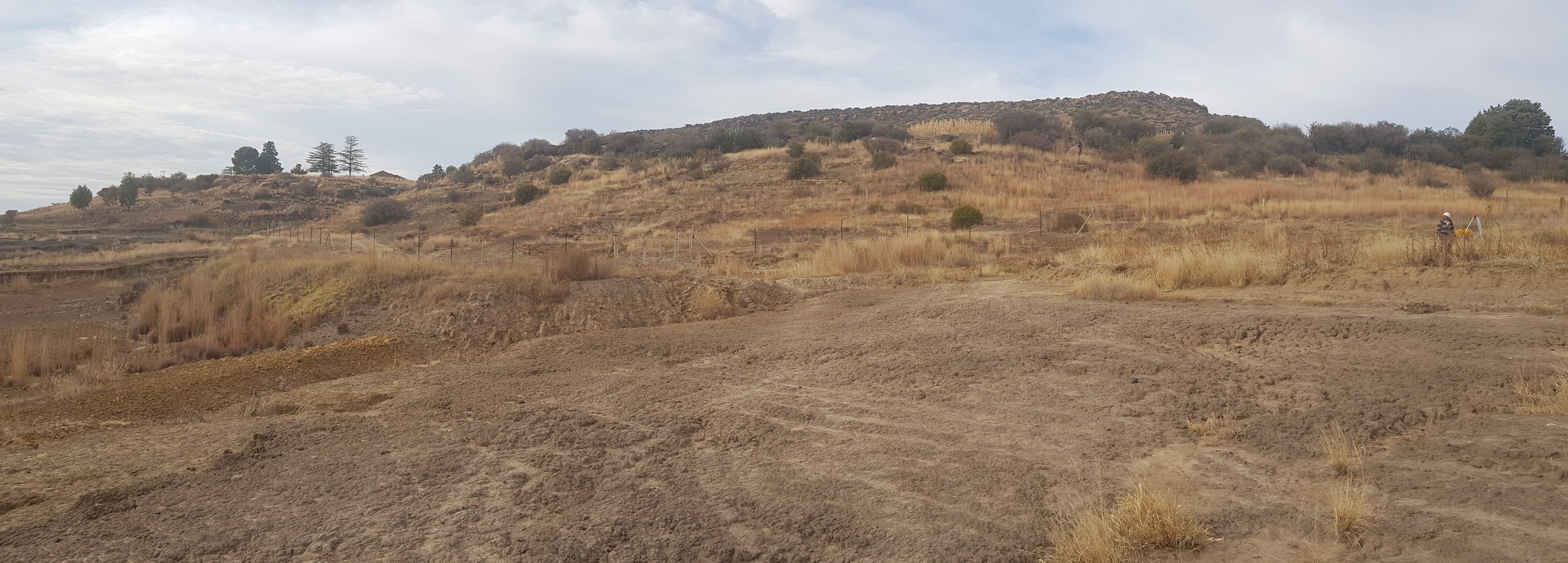 Wide panorama of bare, crusted pale ground with shallow erosion channels running to a fence line, dry tussock grass and scrub beyond it, and a person standing at a tripod-mounted survey instrument at the right edge
