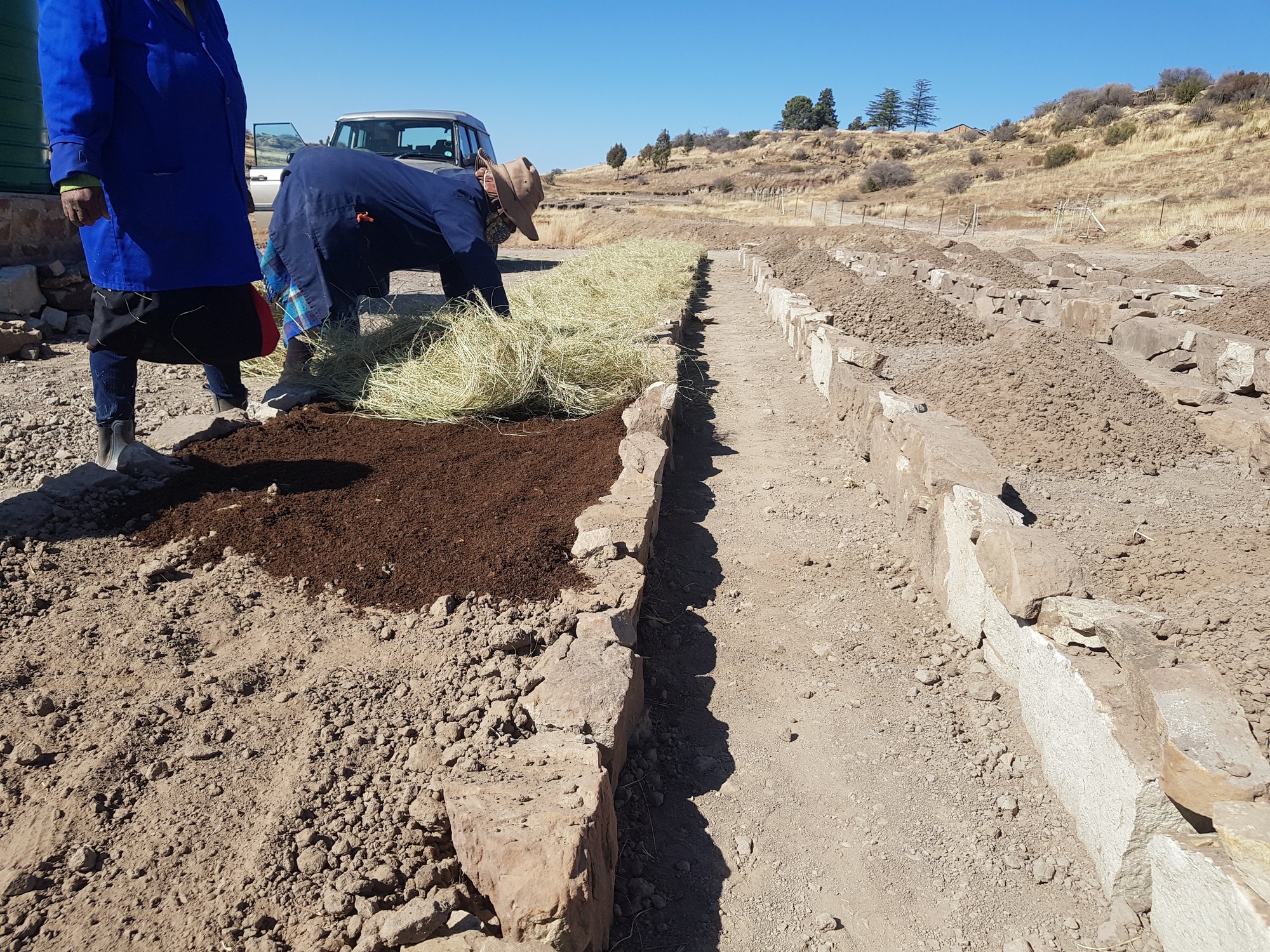 Two workers in blue overalls filling a dry-stone raised bed: dark compost heaped on the near end, pale hay mulch being spread along the bed, more stone-walled beds running away up the slope and a pickup parked behind