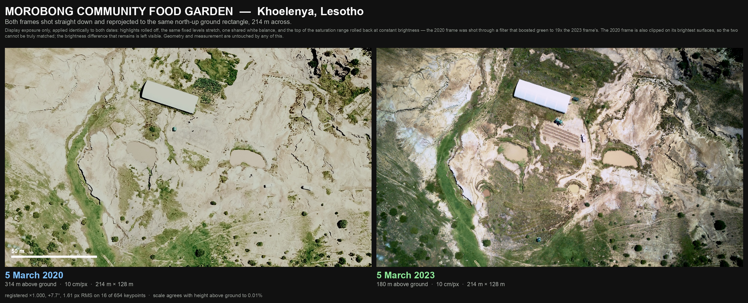 Two overhead drone frames of the Morobong site in Lesotho, both flown on 5 March, in 2020 and 2023, registered onto one north-up ground rectangle 214 metres wide by 128 metres deep at 10 cm per pixel with a scale bar; the 2023 frame carries the polytunnel, water tanks, planting beds and three water-holding basins that the 2020 frame does not