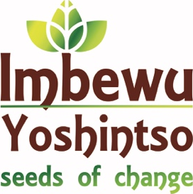 Imbewu Yoshintso