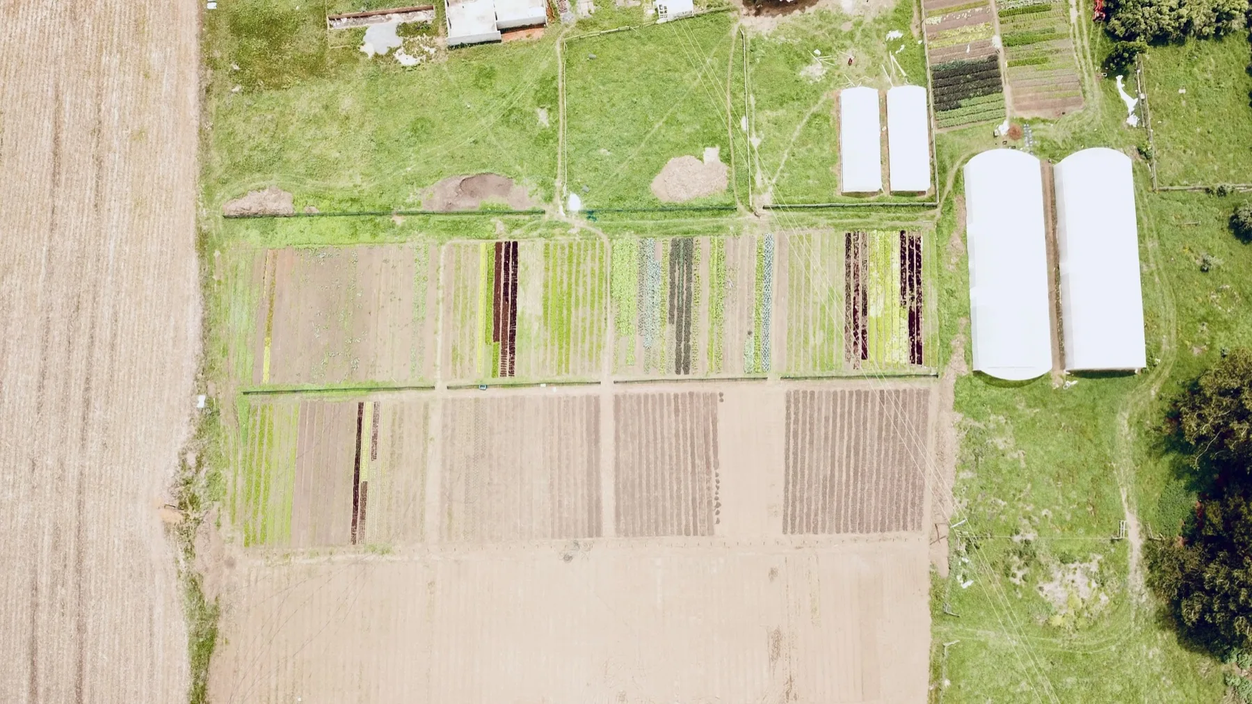 An aerial view of the Tatsfield farm and production systems