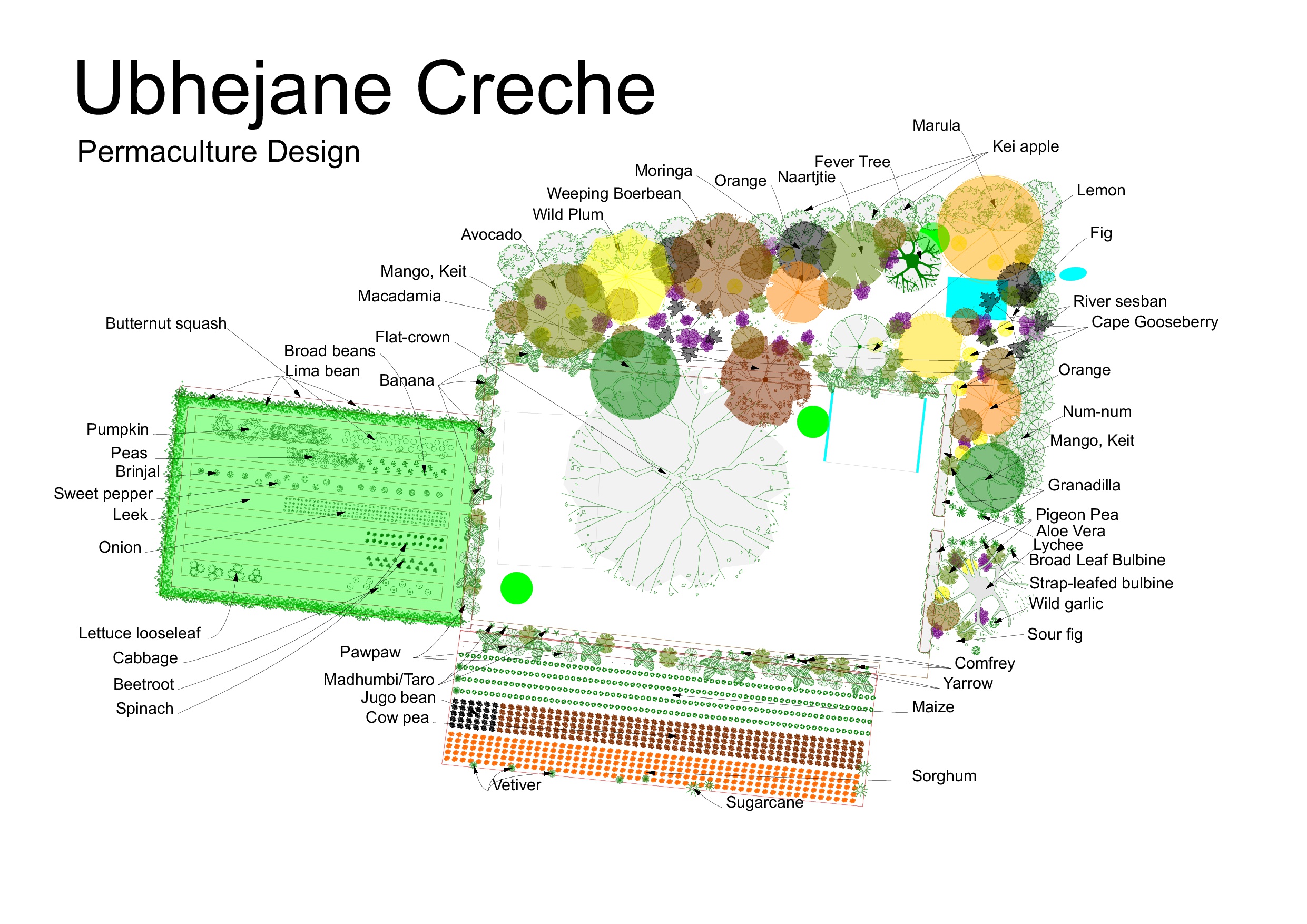 Ubhejane Crèche permaculture design on a white ground: a vegetable garden of named beds, a staple-crop block and fruit, nut and indigenous trees drawn as circles, every species labelled